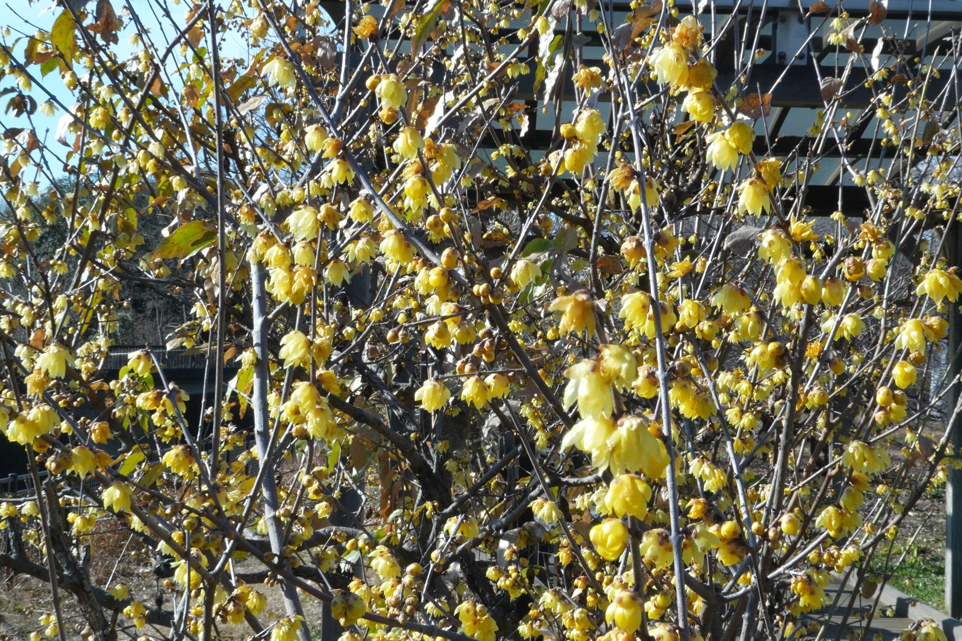 ���a�L�O�����A���o��