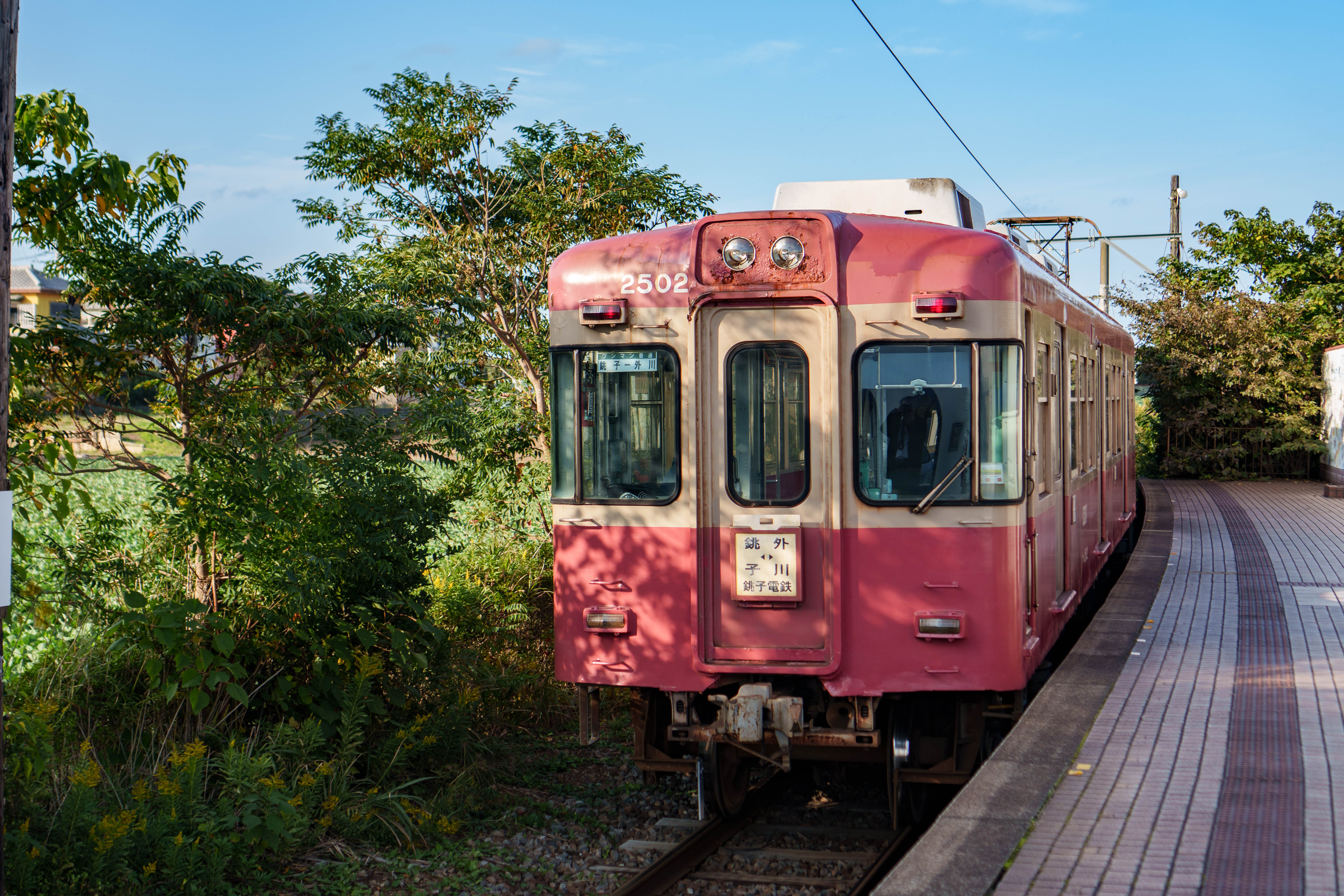 �S���ʐ^�A���o��